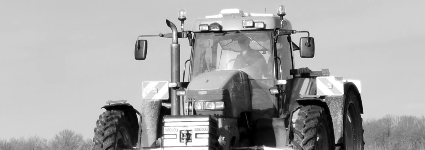 1014917_232734306910973_542810493_o (copy)